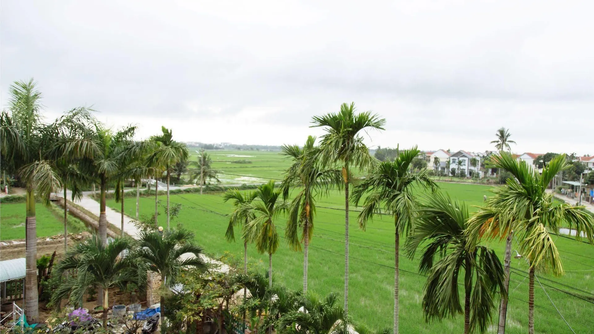 Hoi An Golden Rice Villa